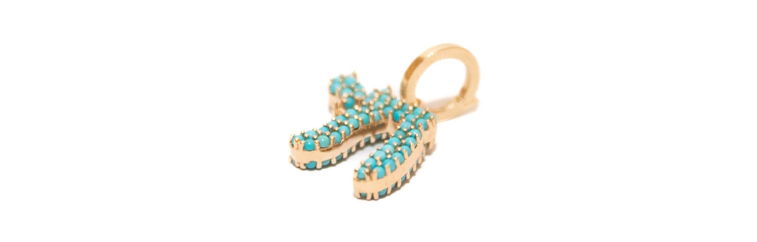 The Turquoise L'Chaim Charm