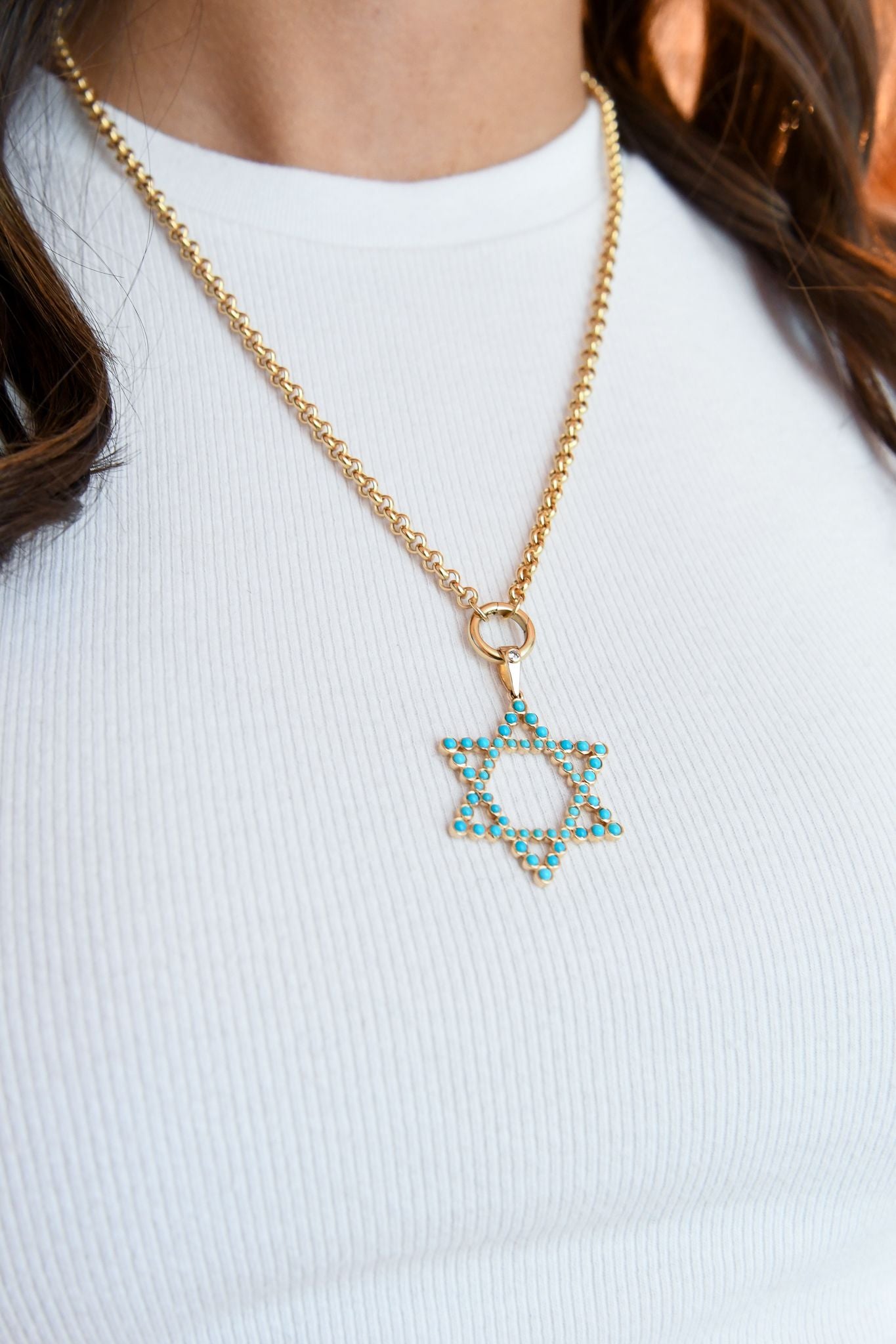 The Shoshanna Mazel Necklace on Gold Chain Options