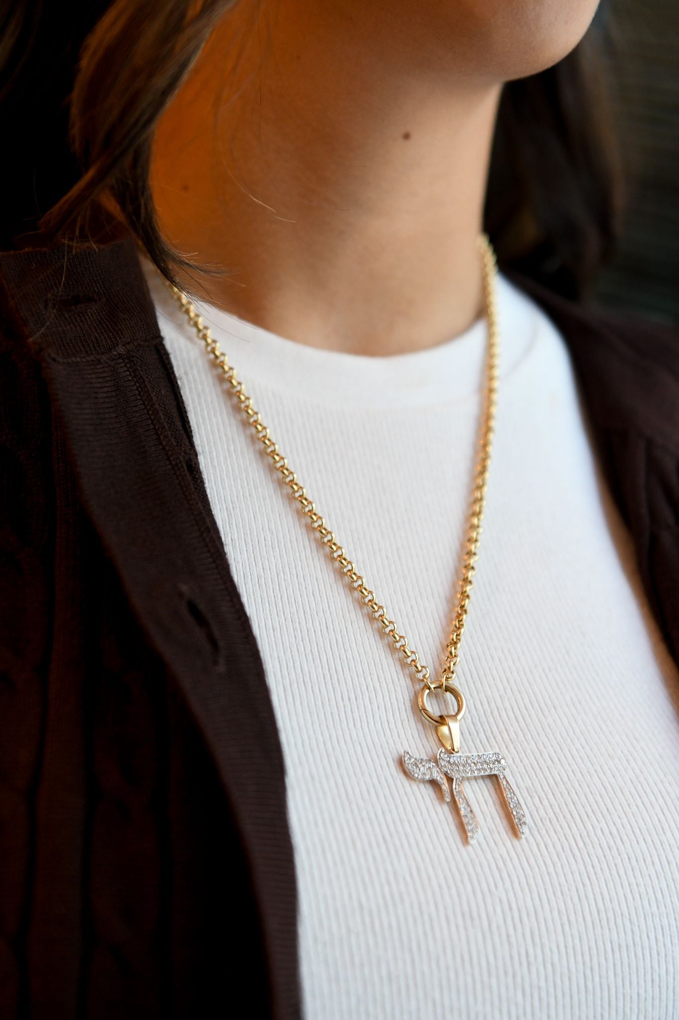 The Big Mamaleh L'Chaim Necklace on Gold Chain Options