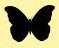 Rachie logo